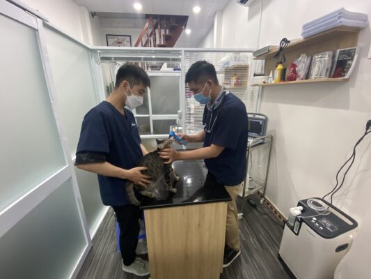 Phòng khám thú y Danny Pet Clinic